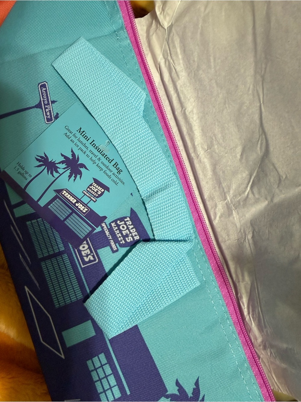 Mini Insulated Bag - Teal with Pink Zipper